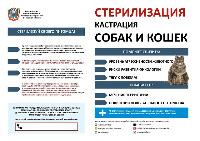 foto 07 03 2023 09 03 2