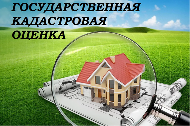 foto 2025 03 10 14 18